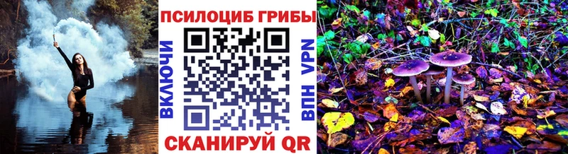 Псилоцибиновые грибы Cubensis  Томмот 